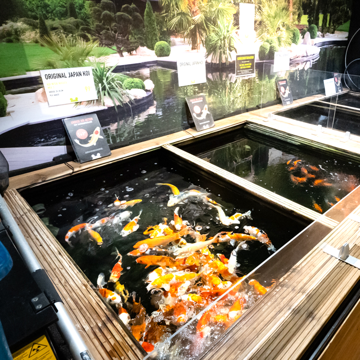 Nuernberg 1200x1200 08